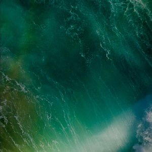 Meet your Posher, Peter